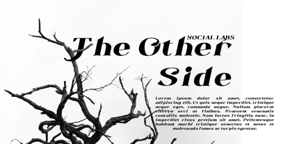 Novacurl Font Poster 6