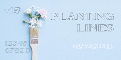 Novacurl Font Poster 5