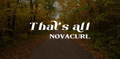 Novacurl Font Poster 10