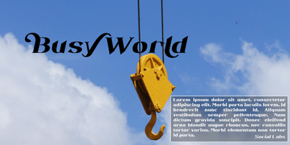 Novacurl Font Poster 8