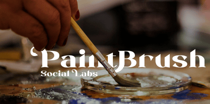 Novacurl Font Poster 4