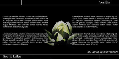 Veralia Font Poster 9