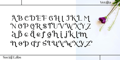 Veralia Font Poster 8