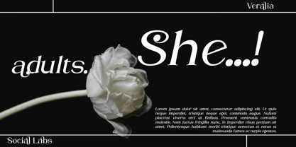 Veralia Font Poster 5