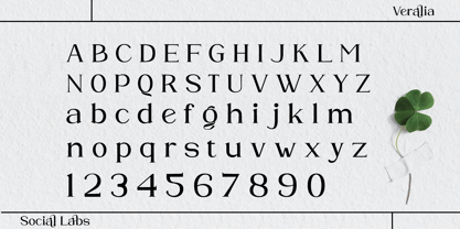 Veralia Font Poster 6