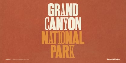 Misprint Font Poster 8