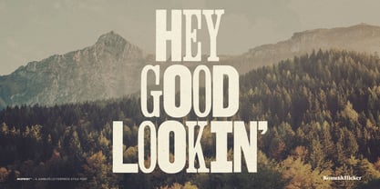 Misprint Font Poster 6