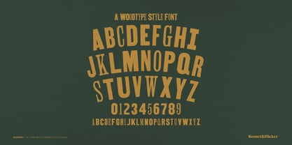 Misprint Font Poster 14