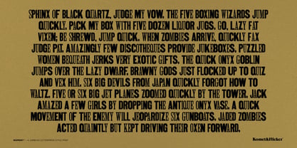 Misprint Font Poster 13