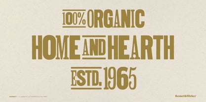 Misprint Font Poster 9