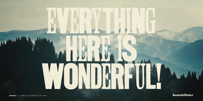 Misprint Font Poster 10