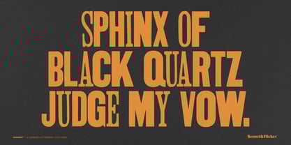 Misprint Font Poster 4