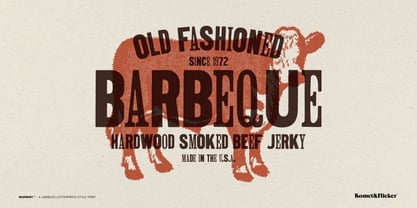 Misprint Font Poster 5