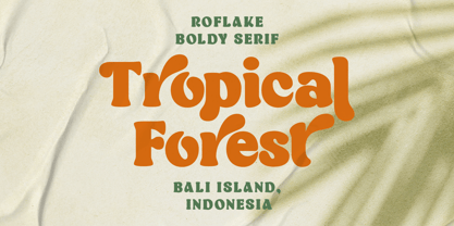 Roflake Font Poster 11