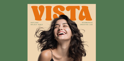 Roflake Font Poster 4