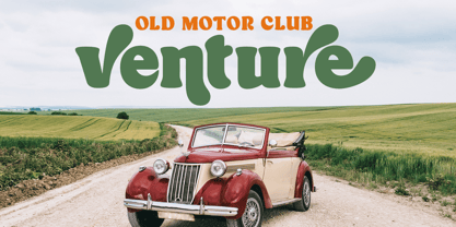 Roflake Font Poster 9