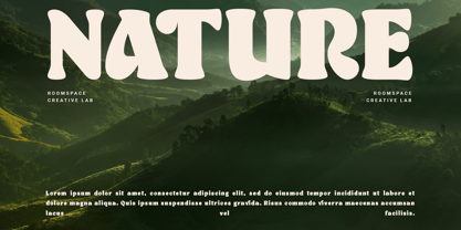 Roflake Font Poster 7