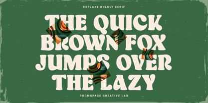 Roflake Font Poster 13