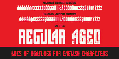 Thick Brick Font Poster 5