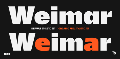 1923 Font Poster 9