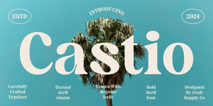 Castio Font Poster 1