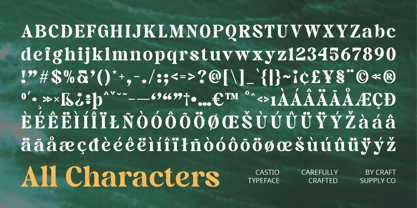 Castio Font Poster 6