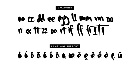 Timberwild Font Poster 13