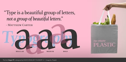 Verger Variable Font Font Poster 2