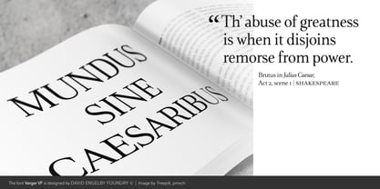 Verger Variable Font Font Poster 4