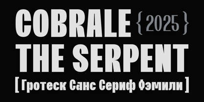 Cobrale Font Poster 1