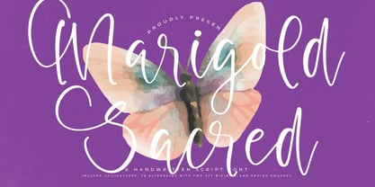 Marigold Sacred Font Poster 1