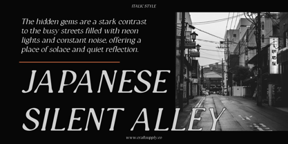 Catelyn Blur Font Poster 2