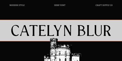 Catelyn Blur Font Poster 1