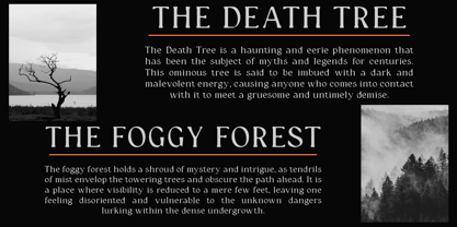 Catelyn Blur Font Poster 4