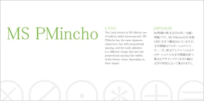 MS-PMincho Font Poster 4