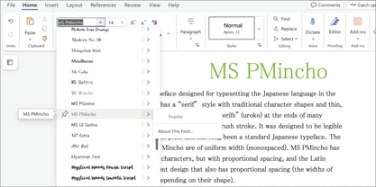 MS-PMincho Font Poster 5