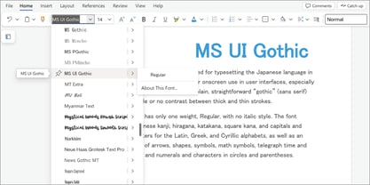 MS Gothic UI Font Poster 5