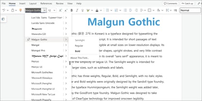 Malgun Gothic Font Poster 5