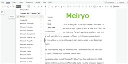 Meiryo Font Poster 5