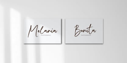 Break Season Signature Brush Font Poster 3