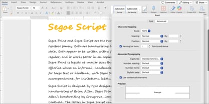 Segoe Script Font Poster 5