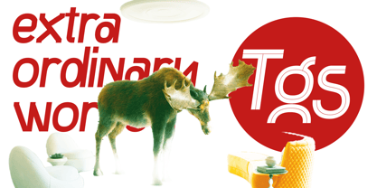 Taggos Font Poster 4