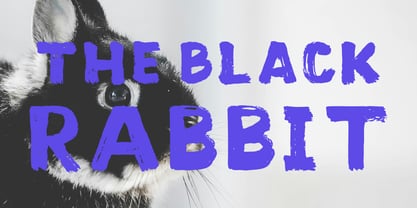 Wild Sheep Font Poster 4