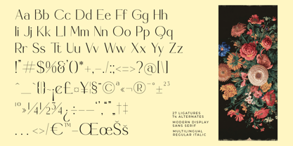 Madgio Font Poster 14