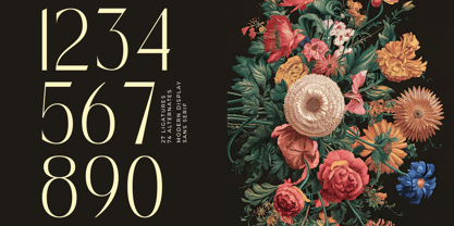 Madgio Font Poster 13