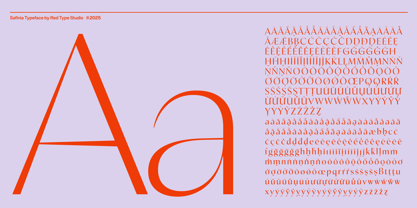 Safinia Font Poster 2