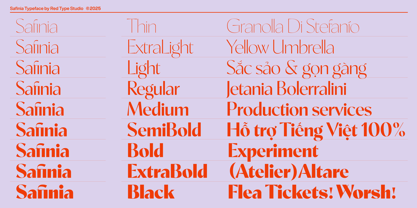 Safinia Font Poster 4