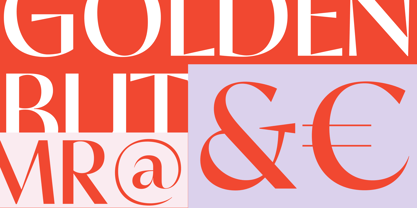 Safinia Font Poster 8
