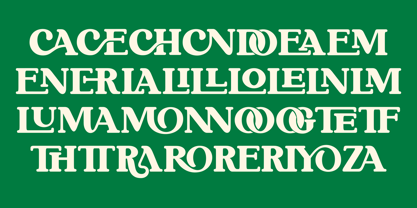 Never Aurora Font Poster 8