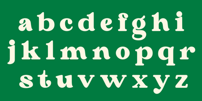 Never Aurora Font Poster 10